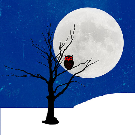 Cold Winter Night