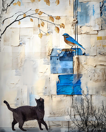 The Bluebird Box