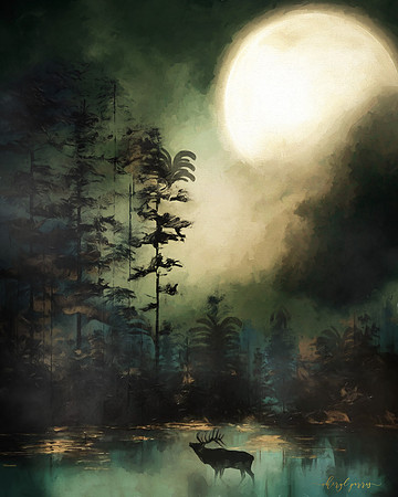 Bright Night
