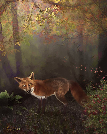 Forest Fox